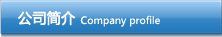 公司简介